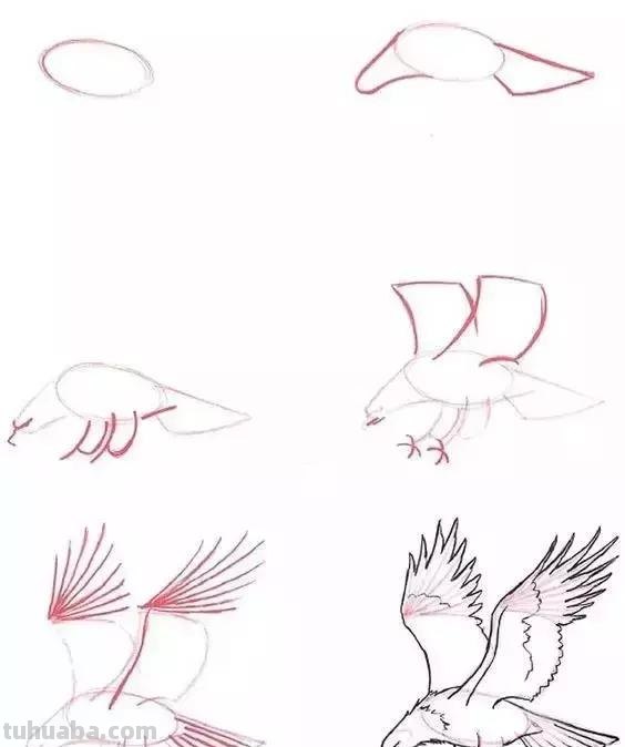 零基础绘画教程，不要错过！