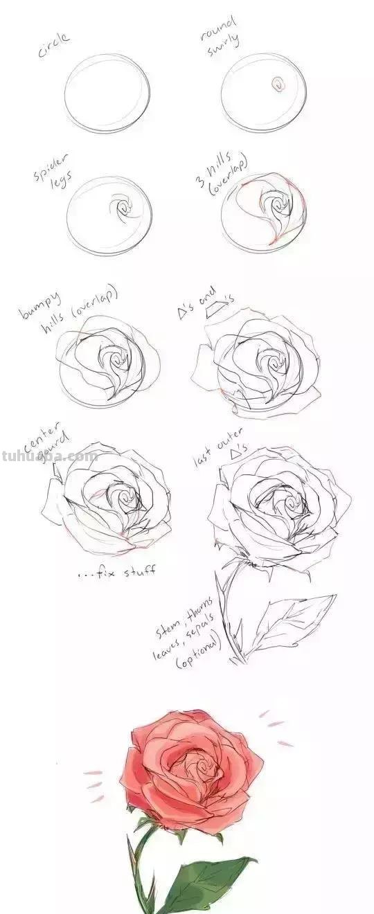 零基础绘画教程，不要错过！