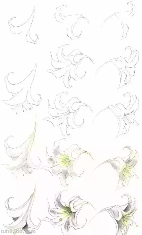 零基础绘画教程，不要错过！