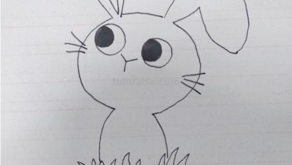 简笔画兔子怎么画 最简单的简笔画小兔子怎么画？