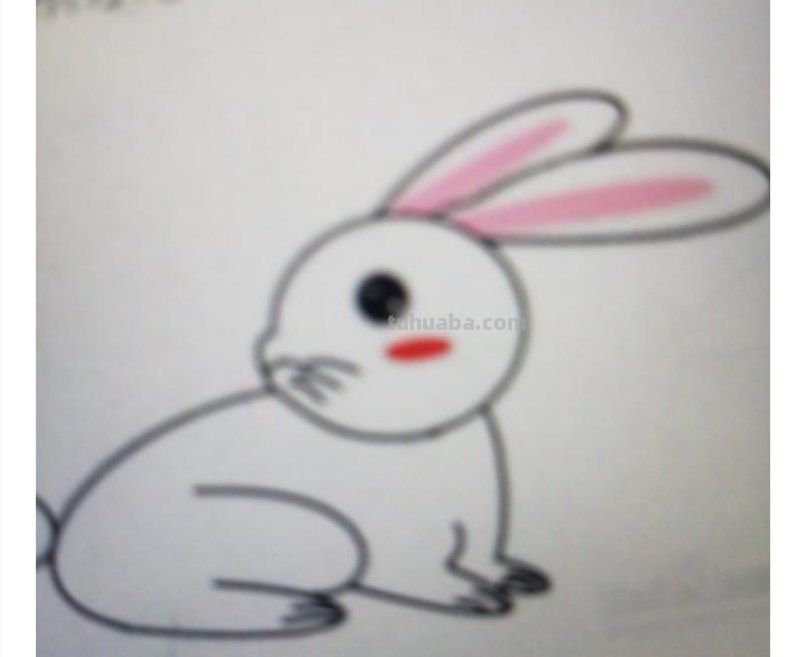 简笔画兔子怎么画 最简单的简笔画小兔子怎么画？
