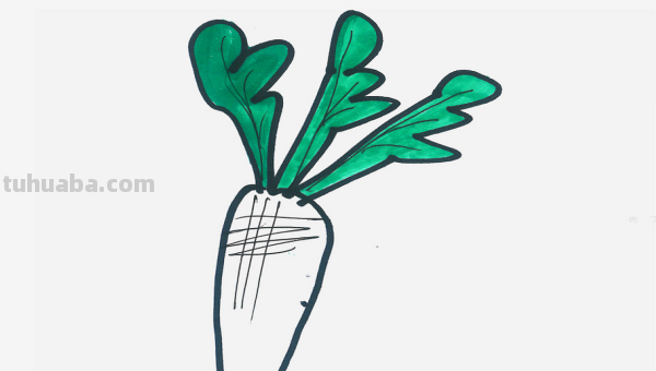 萝卜怎么画简单又漂亮