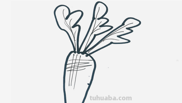 萝卜怎么画简单又漂亮