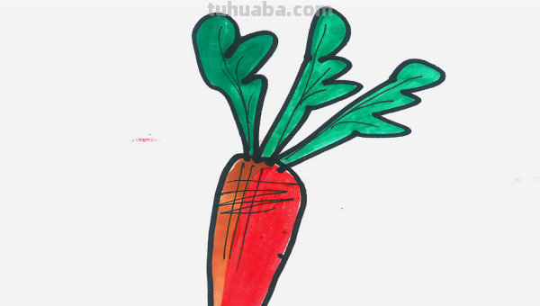 萝卜怎么画简单又漂亮