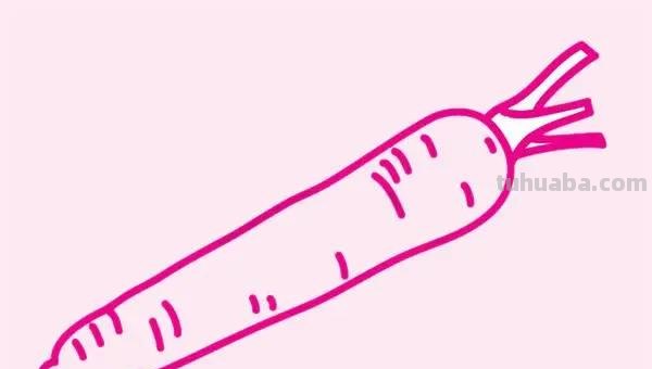 萝卜怎么画