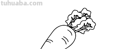 胡萝卜怎么画简笔画