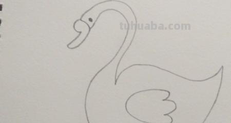 白鹅怎么画彩铅图片 如何画天鹅好看? 白鹅怎么画彩铅图片 如何画天鹅好看?