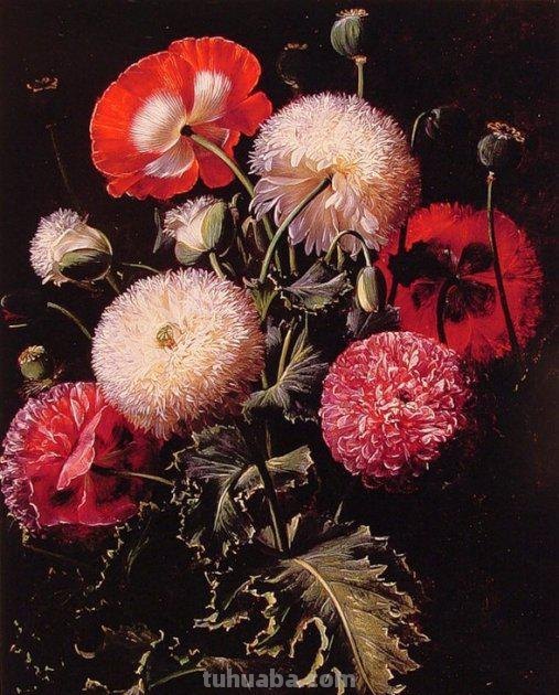 静物花卉油画欣赏