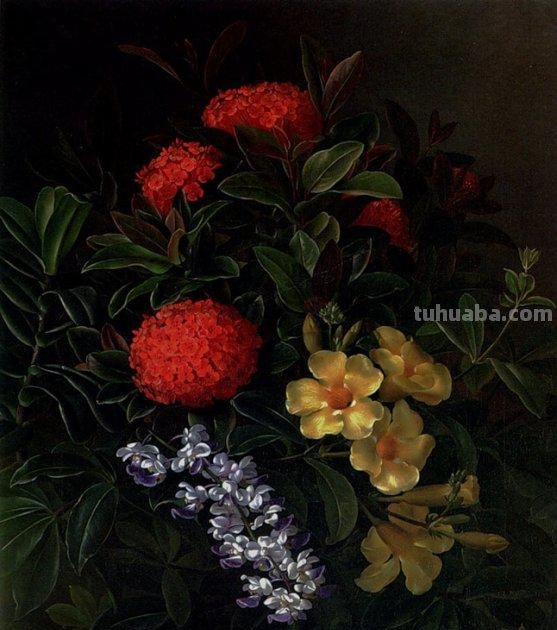 静物花卉油画欣赏