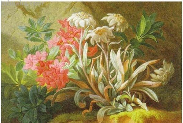 奥地利画家Josef Schuster古典花卉静物油画作品
