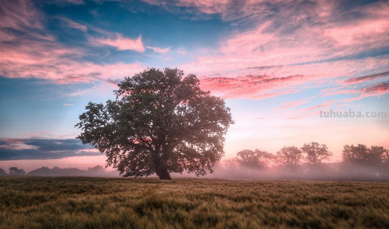 拍风景的10个好用摄影技巧,不再浪费美景,帮你轻松拍出大片 拍风景的10个好用摄影技巧,不再浪费美景,帮你轻松拍出大片