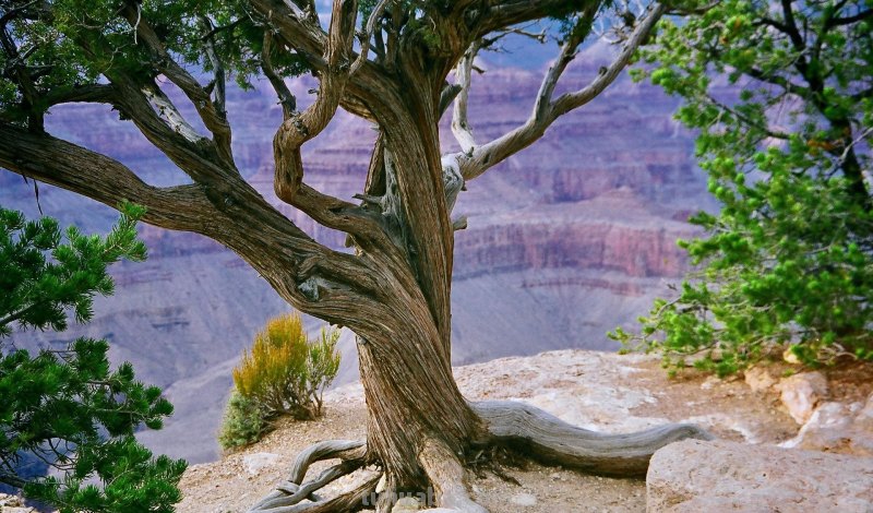 拍风景的10个好用摄影技巧,不再浪费美景,帮你轻松拍出大片 拍风景的10个好用摄影技巧,不再浪费美景,帮你轻松拍出大片