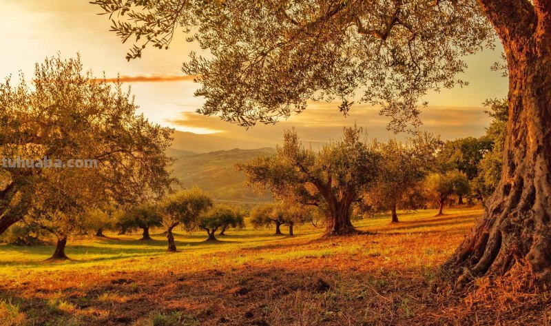 拍风景的10个好用摄影技巧,不再浪费美景,帮你轻松拍出大片 拍风景的10个好用摄影技巧,不再浪费美景,帮你轻松拍出大片