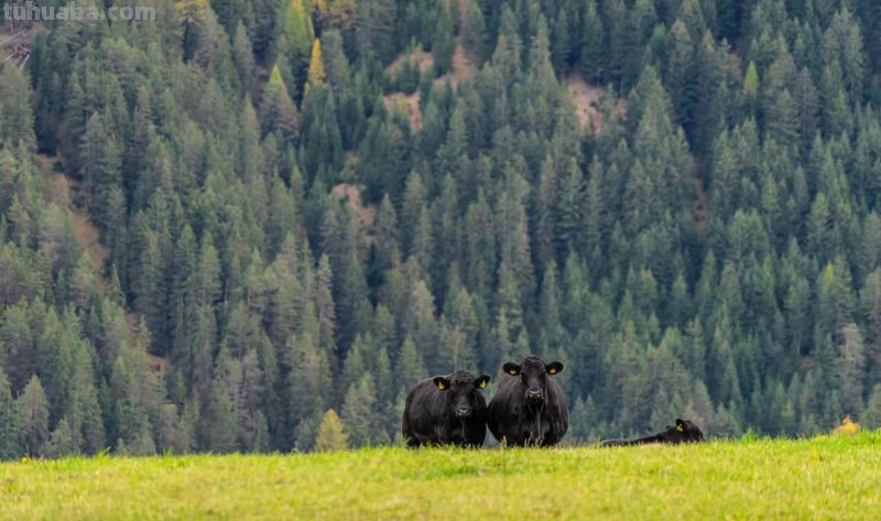 拍风景的10个好用摄影技巧,不再浪费美景,帮你轻松拍出大片 拍风景的10个好用摄影技巧,不再浪费美景,帮你轻松拍出大片