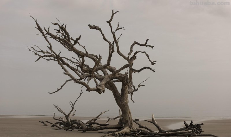 拍风景的10个好用摄影技巧,不再浪费美景,帮你轻松拍出大片 拍风景的10个好用摄影技巧,不再浪费美景,帮你轻松拍出大片