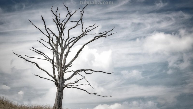拍风景的10个好用摄影技巧,不再浪费美景,帮你轻松拍出大片 拍风景的10个好用摄影技巧,不再浪费美景,帮你轻松拍出大片