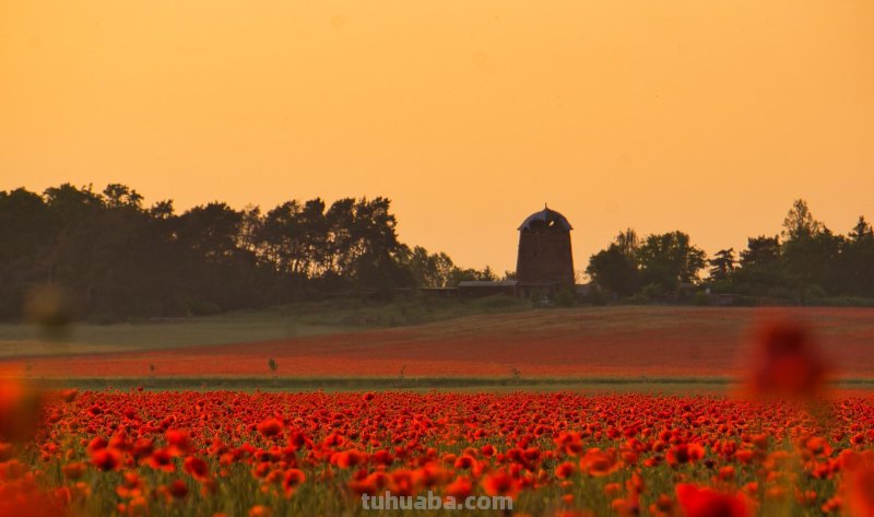 拍风景的10个好用摄影技巧,不再浪费美景,帮你轻松拍出大片 拍风景的10个好用摄影技巧,不再浪费美景,帮你轻松拍出大片