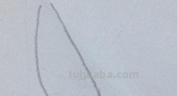 烤鸡怎么画简笔画 怎么画十二生肖简笔画鸡? 烤鸡怎么画简笔画 怎么画十二生肖简笔画鸡?