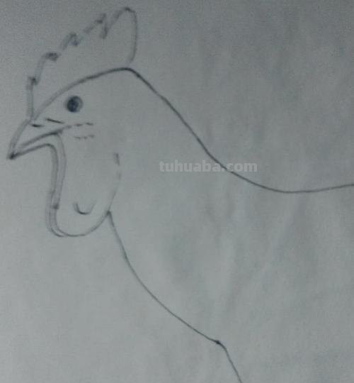 烤鸡怎么画简笔画 怎么画十二生肖简笔画鸡? 烤鸡怎么画简笔画 怎么画十二生肖简笔画鸡?