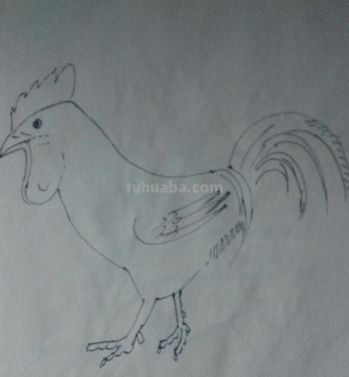 烤鸡怎么画简笔画 怎么画十二生肖简笔画鸡? 烤鸡怎么画简笔画 怎么画十二生肖简笔画鸡?
