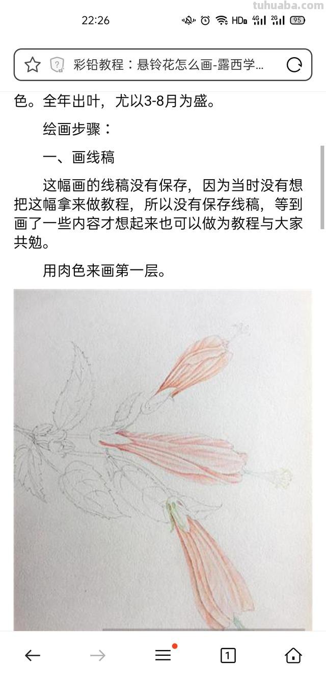 花卉特写速写 花鸟速写教程？