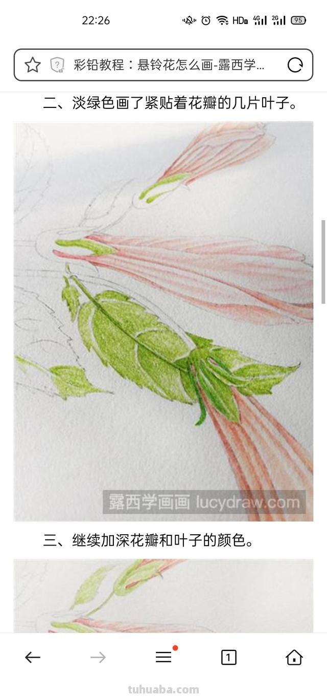 花卉特写速写 花鸟速写教程？