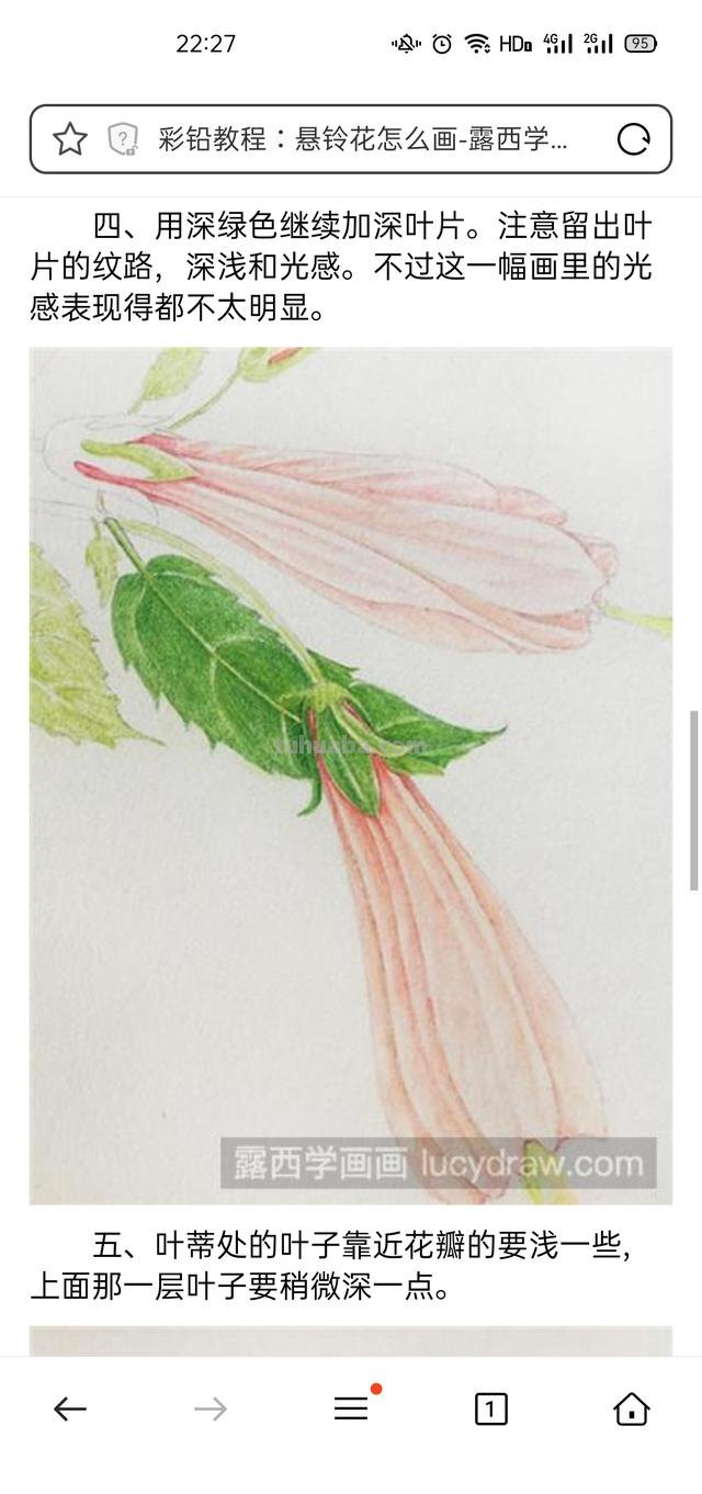 花卉特写速写 花鸟速写教程？
