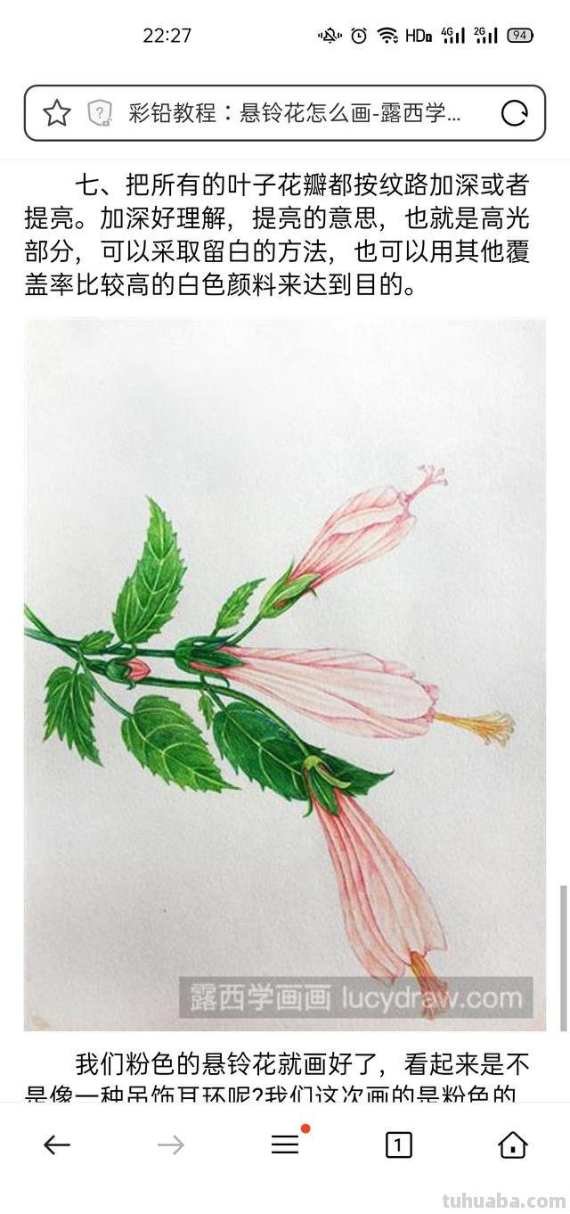 花卉特写速写 花鸟速写教程？