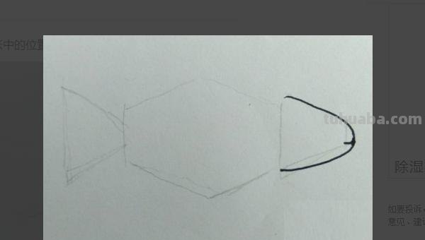 鱼肉怎么画简笔画 鱼的简笔画怎么画? 鱼肉怎么画简笔画 鱼的简笔画怎么画?