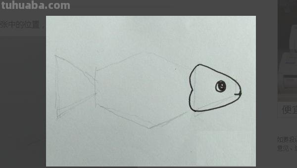 鱼肉怎么画简笔画 鱼的简笔画怎么画? 鱼肉怎么画简笔画 鱼的简笔画怎么画?