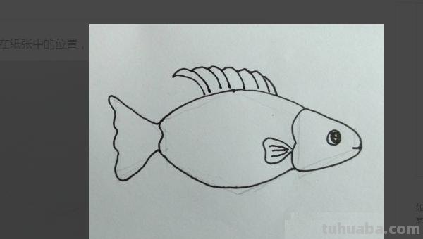 鱼肉怎么画简笔画 鱼的简笔画怎么画? 鱼肉怎么画简笔画 鱼的简笔画怎么画?