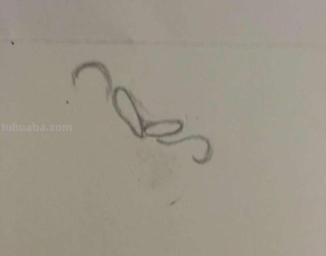 鱼肉怎么画简笔画 鱼的简笔画怎么画? 鱼肉怎么画简笔画 鱼的简笔画怎么画?