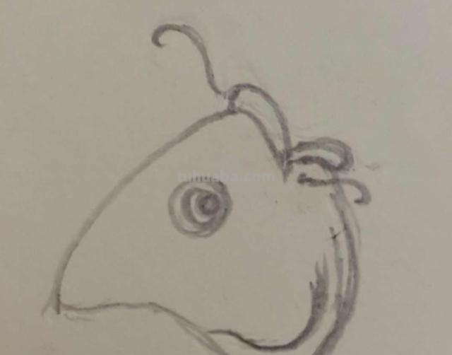 鱼肉怎么画简笔画 鱼的简笔画怎么画? 鱼肉怎么画简笔画 鱼的简笔画怎么画?
