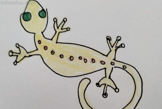 壁虎怎么画简笔画 怎么样画壁虎生活的地方了? 壁虎怎么画简笔画 怎么样画壁虎生活的地方了?