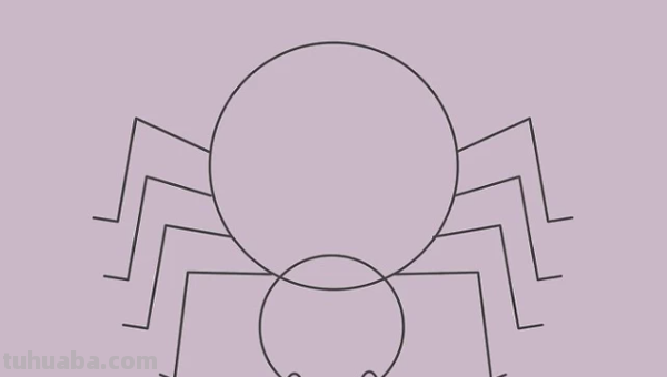 蜘蛛怎么画霸气