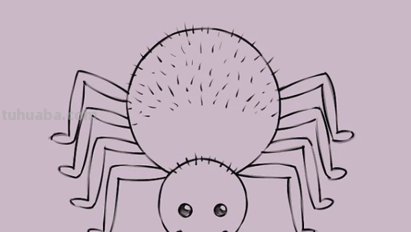 蜘蛛怎么画霸气