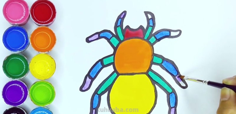 蜘蛛怎么画简单又漂亮