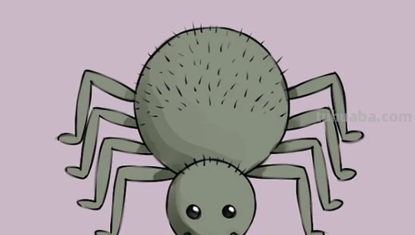 蜘蛛怎么画霸气
