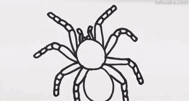 如何画一只小蜘蛛