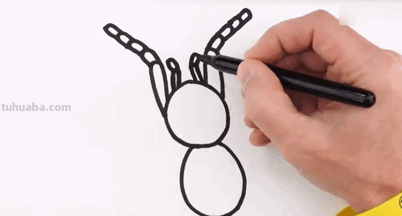 如何画一只小蜘蛛