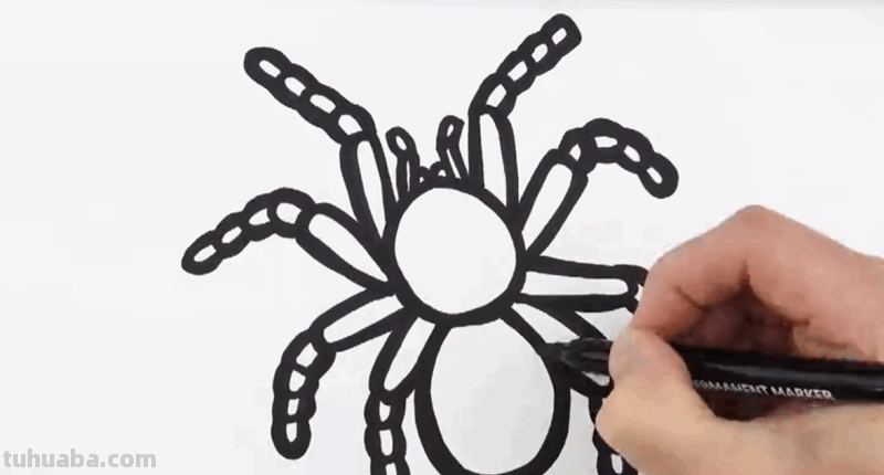如何画一只小蜘蛛