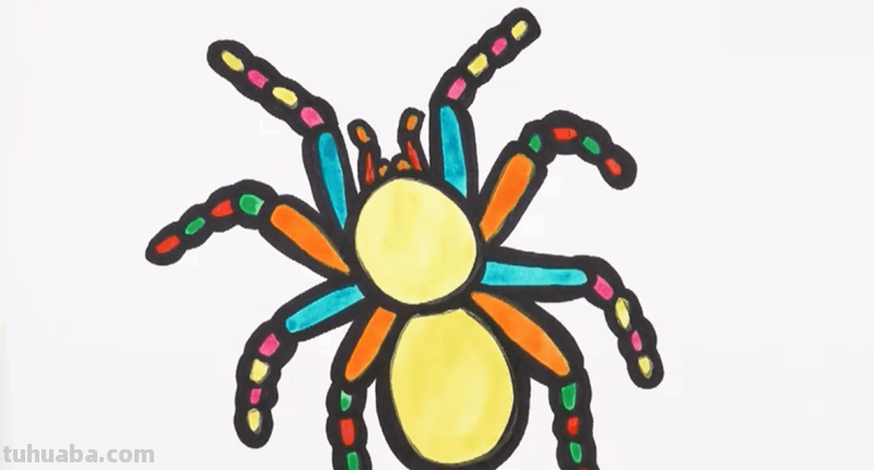 如何画一只小蜘蛛