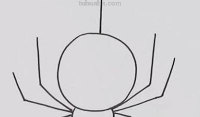 蜘蛛的图片怎么画
