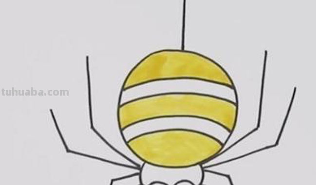 蜘蛛的图片怎么画