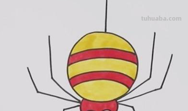 蜘蛛的图片怎么画