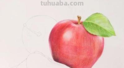 静物彩铅苹果怎么画 彩铅苹果画法? 静物彩铅苹果怎么画 彩铅苹果画法?
