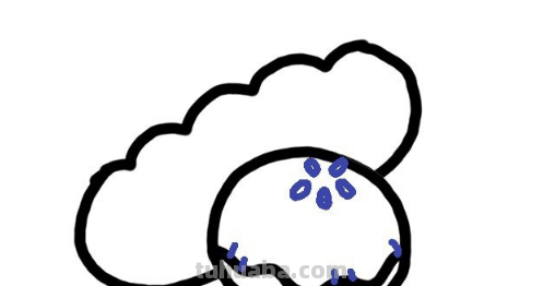 面包怎么画简笔画