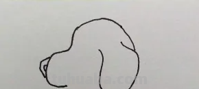 如何画小狗