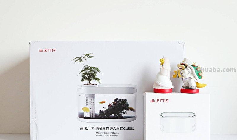 子非鱼，焉知鱼之乐？画法几何两栖生态鱼缸