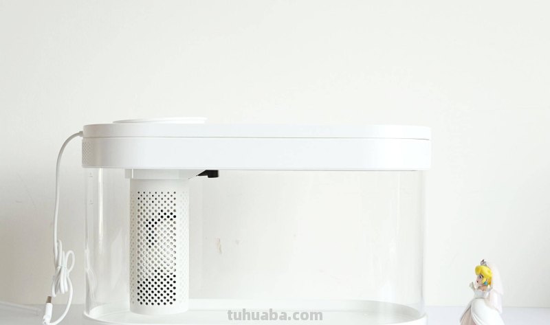 子非鱼，焉知鱼之乐？画法几何两栖生态鱼缸